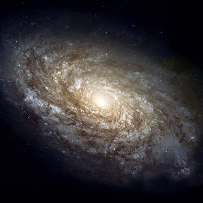 Spacefish
