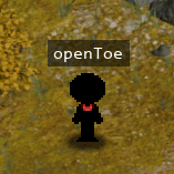 openToe