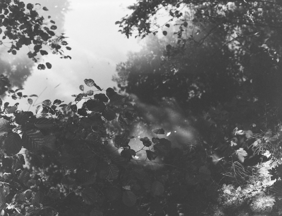 Header Image