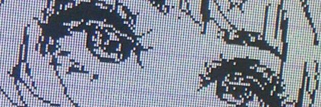 Header Image