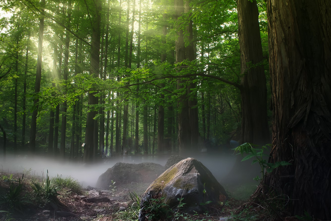 Header Image