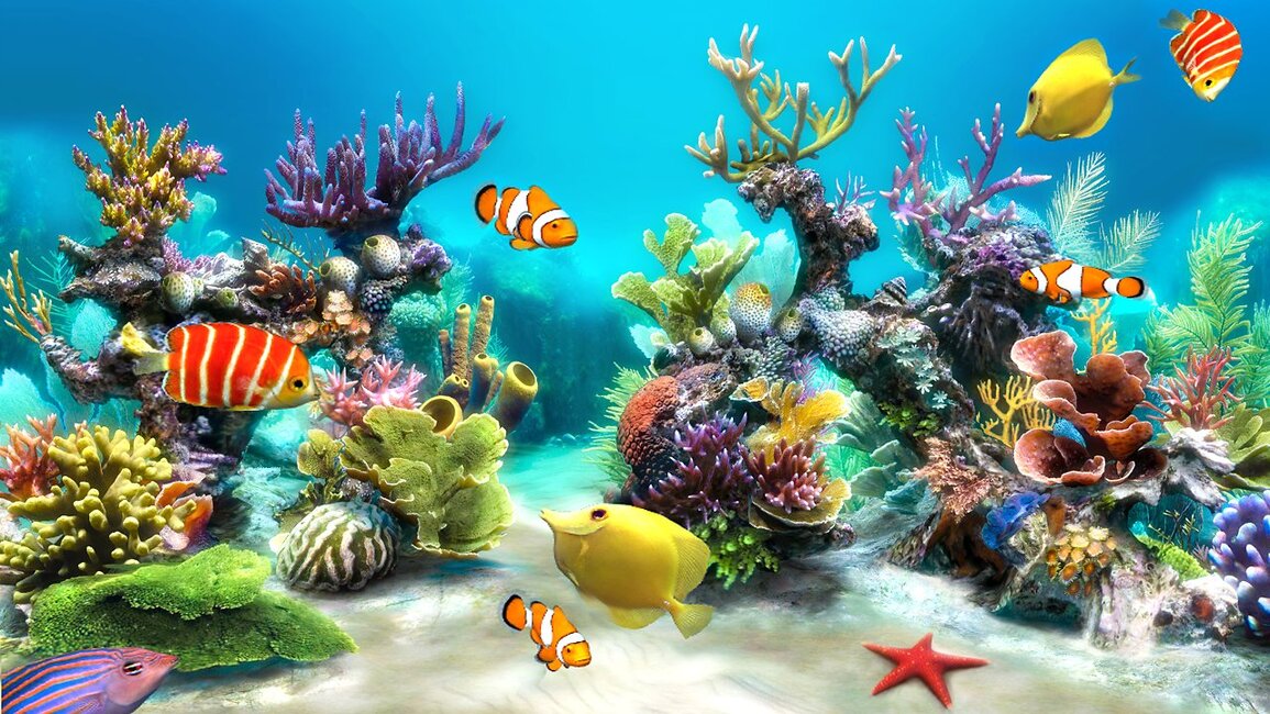 EmojiAquarium's profile header