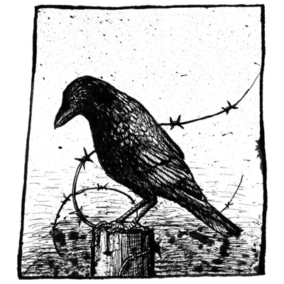 maxhertzberg's avatar