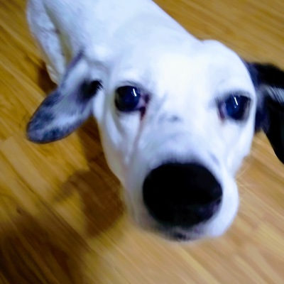 mzurich's avatar