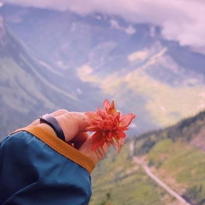 millefk34's avatar