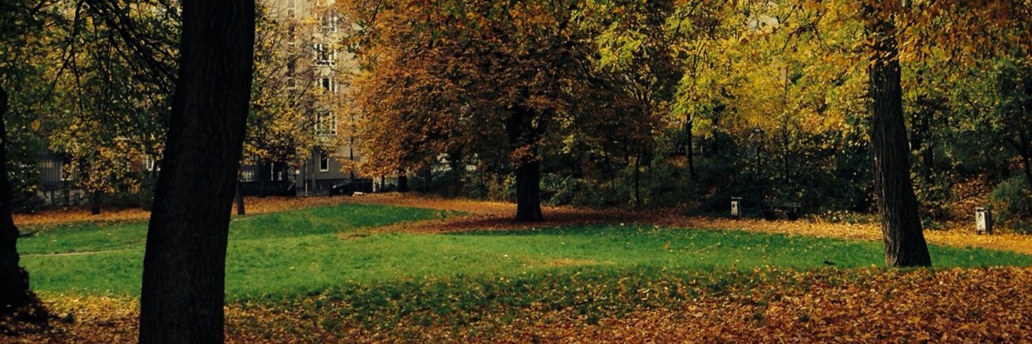 leftyknowitall's profile header