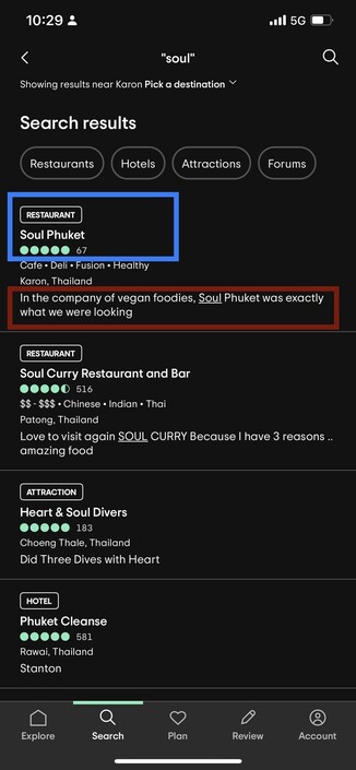 Screenshot of Tripadvisors search results showing a blue box highlighting the the name of the location and a red box highlighting the reviews for the location.