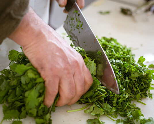 A tight image of chopping a fat fist-full of parley with a chef's knife. 