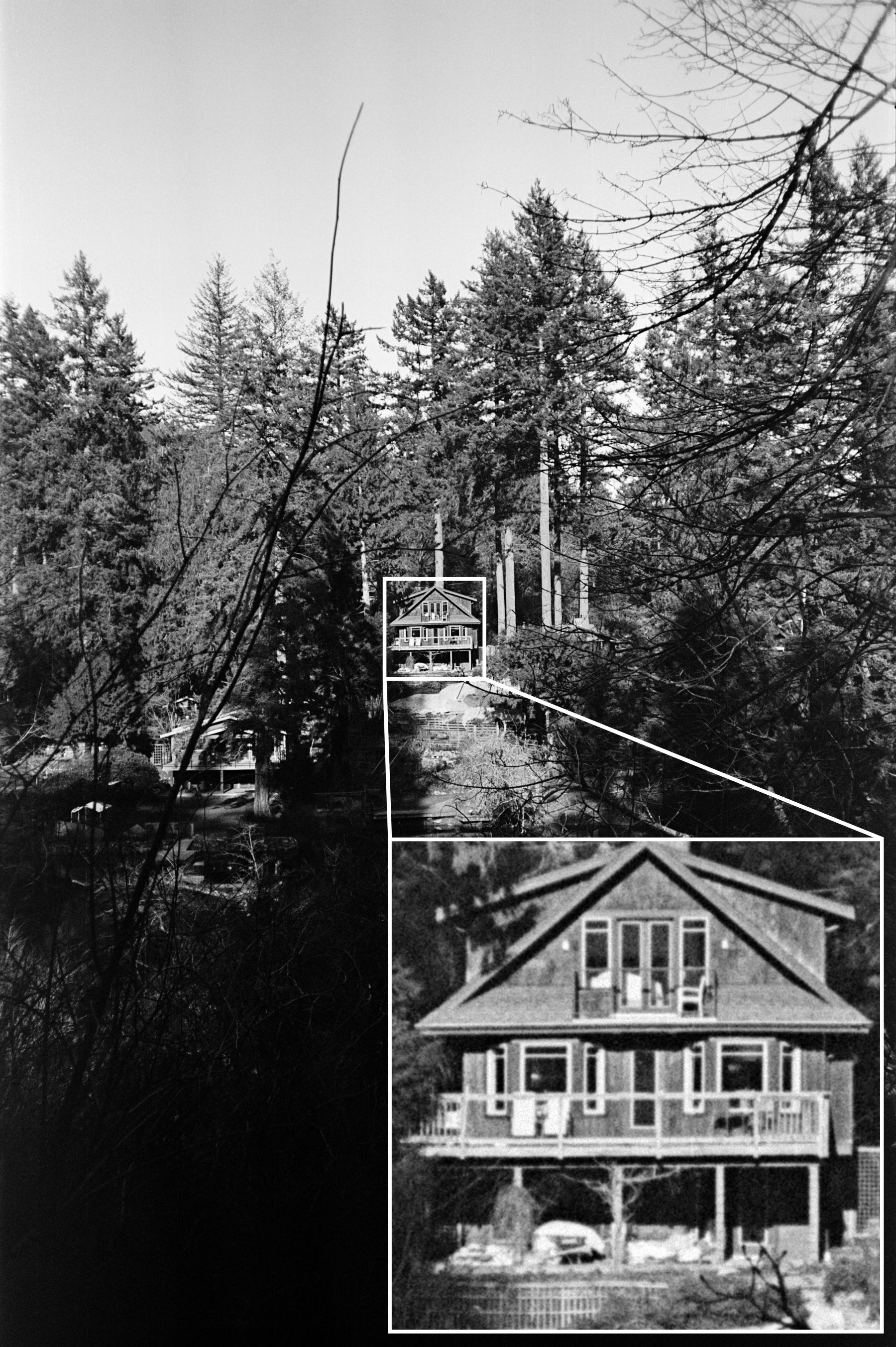 A photo of a house in the distance across a forest creek with a ~6x enlargement that demonstrate the extreme fine nature of the P30 grain