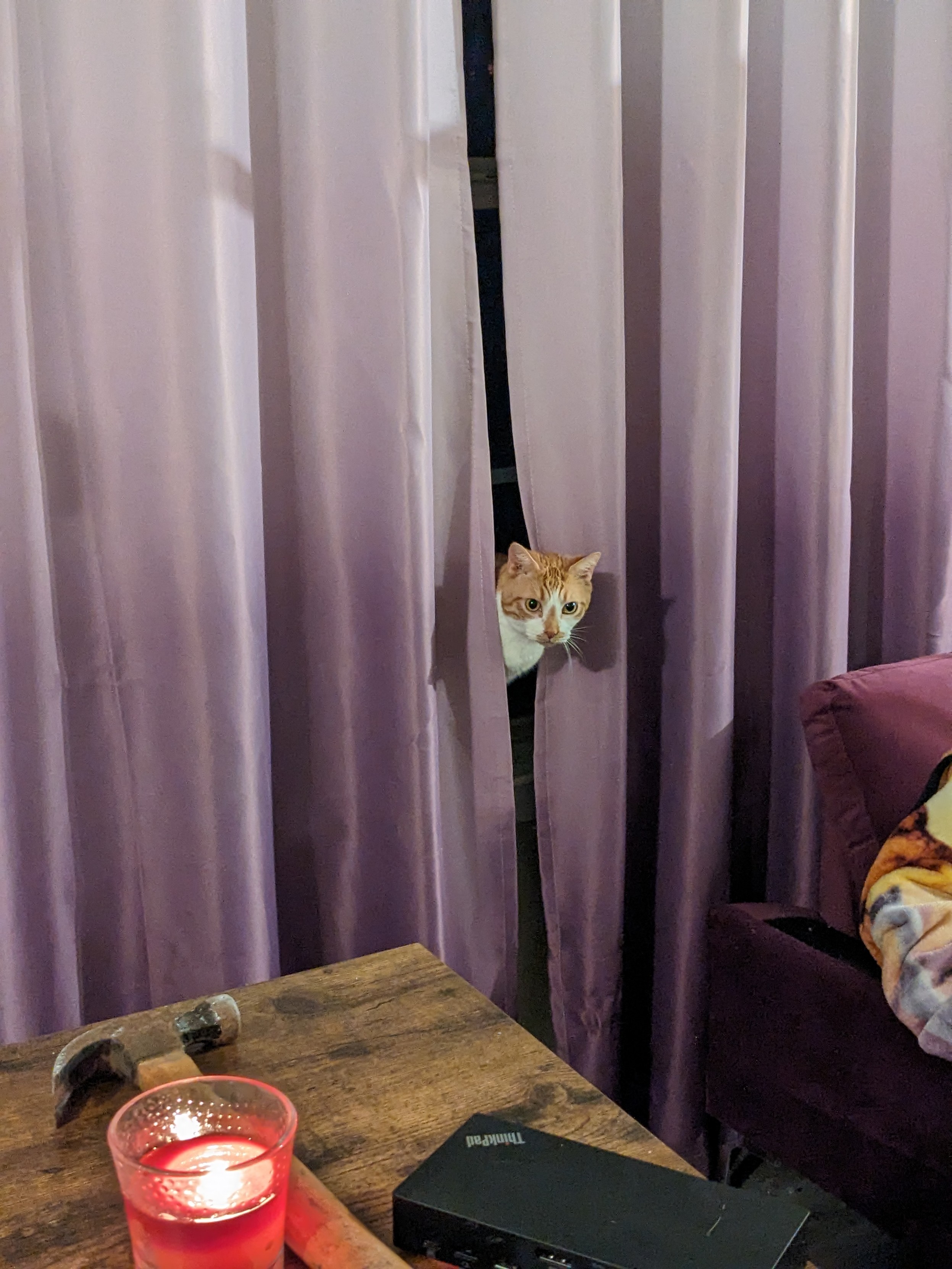 A picture of pink and purple curtains, with an orange cat head peeking out and looking towards the camera. In the foreground is a candle, hammer, and computer dock on a small table. Cheddar looks like he is about to cause mischief. 