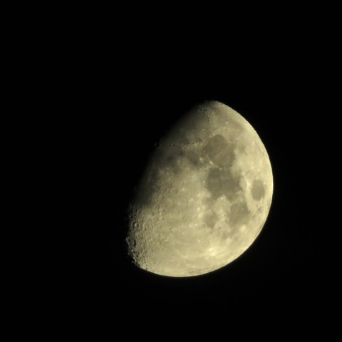 Moon just over half full - the top left corner of the dick is dark