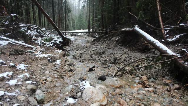 A debris flow is seen below a cut block near Sechelt, B.C., during the atmospheric river event in a November 2021 handout photo. A logging plan on the Sunshine Coast has re-ignited debates over the science and methodology behind forestry modelling. (Handout by Ross Muirhead/The Canadian Press)