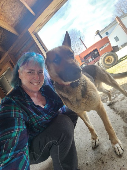 Me, a pale blue haired person wearing a blue plaid dress shirt and leggings crouched down next to a black and tan German shepherd. You can see part of the ceiling of the barn I'm in, and a red tractor parked outside.