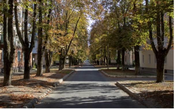 A tree lined street with no traffic and no parked cars - and no people either

