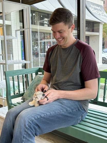 A small white and grey cat sitting in my lap. It is only a little bigger than my hands, and is leaning into the fingers scratching behind her flat ears.