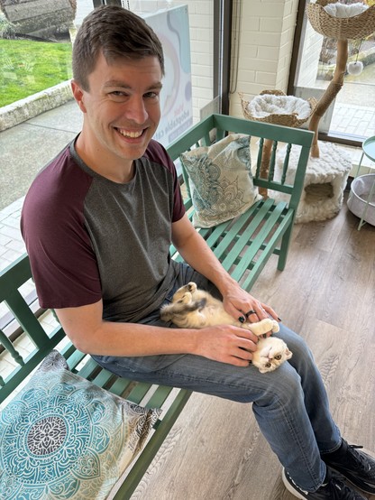 A grey and white kitten rolled upside down on my lap, being pet on the belly and chin. I'm smiling because it's so cute.