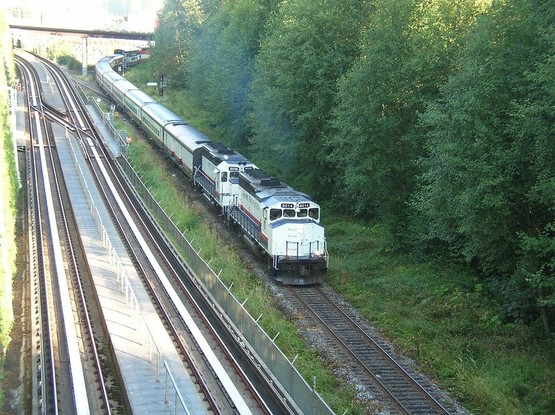 Two diesel locomotives pulling a long train of coaches in a deep cutting lined on one side with pine trees


My photo taken 15 years ago. The Rocky Mountaineer now has a different livery.

I would have used the Network's picture but it was obscured to deter copying. This image is Creative Commons Licensed  