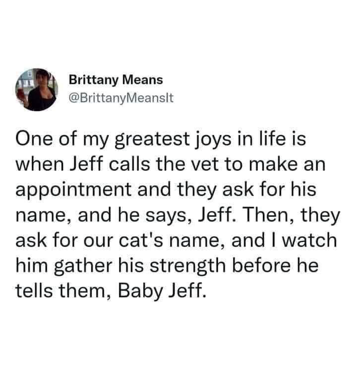 Brittany Means @BrittanyMeansit One of my greatest joys in life is when Jeff calls the vet to make an appointment and they ask for his name, and he says, Jeff. Then, they ask for our cat's name, and I watch him gather his strength before he tells them, Baby Jeff.