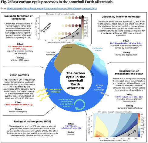 The figure summarises the five processes of the carbon cycle that lead to air-sea CO2 exchange in the aftermath of a snowball Earth as quantified in this study. These are: inorganic formation of carbonates, ocean warming, the reappearance of the biological carbon pump, dilution by inflow of meltwater, and equilibration of atmosphere and ocean.
The effect of the processes on atmospheric CO2 (red text represents an increase and blue text represents a reduction of the atmospheric CO2 concentration…