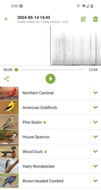 Screencap from Merlin this afternoon. Significant are the Pine Siskin and the Wood Duck. 