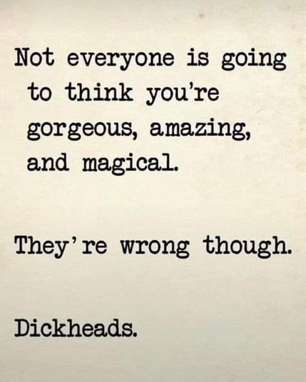 Not everyone is going to think you're gorgeous, amazing, and magical.

They’re wrong though.

Dickheads. 