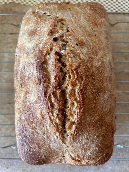 Top view of the loaf showing the expansion of a very lightly scored line in the crust. The loaf is nicely browned and very crusty. It was baked in an oblong tin 
