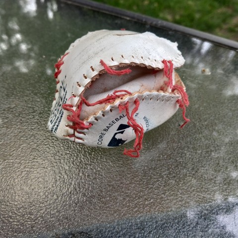 The white leather baseball casing with the red seems shredded. The core of the ball is missing.