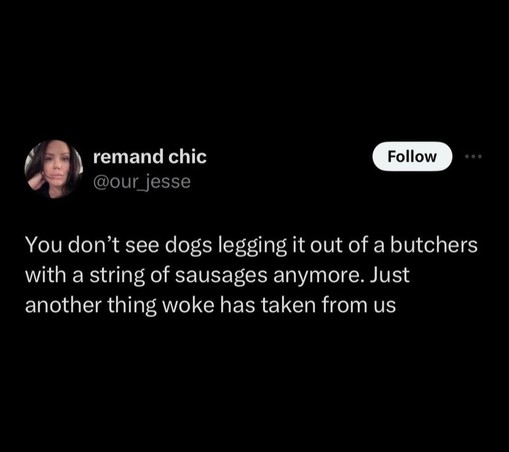 remand chic
@our_jesse

You don’t see dogs legging it out of a butchers with a string of sausages anymore. Just another thing woke has taken from us 