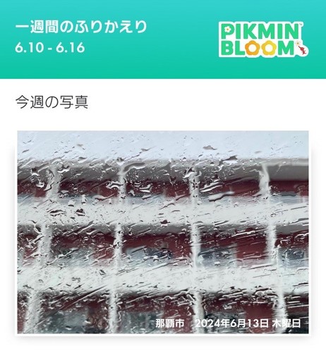 Advertisement for Pikmin Bloom featuring a rain-soaked window with a blurred building in the background. Text in Japanese provides dates and location information.