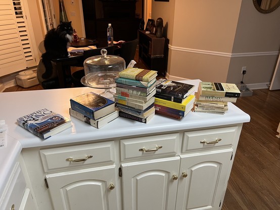 A kitchen counter with several stacks of books in the foreground. A black and white cat is sitting on a table (because he is very bad) in the background.