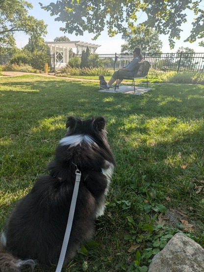 Daisy sees a friend at the park. 