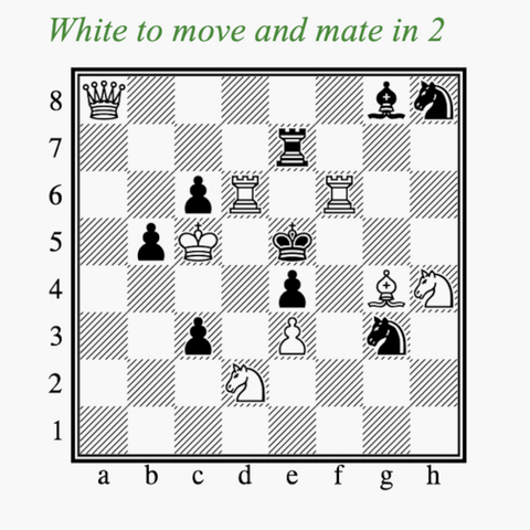 The image is a grayscale diagram of a chess board illustrating the starting position of the chess problem.  Above the chess board are the instructions for the chess problem, written in a green italic font, 