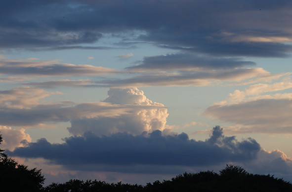 An evening sky with different layers of clouds. On the bottom and top some rather dark ones, thin horizontal ones in the middleground and a towering white one with a shadow side and an evening sunlit side. Foreground: the top of a forest in a dark colour.