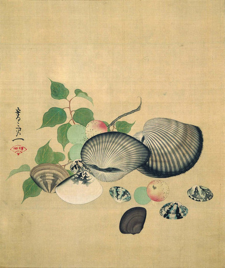 A painted scroll depicting a still life of some clam-like mollusk shells and plums.