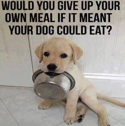 WOULD YOU GIVE UP YOUR
OWN MEAL IF IT MEANT
YOUR DOG COULD EAT?