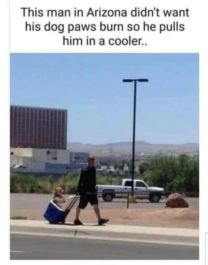 This man in Arizona didn't want his dog paws burn so he pulls him in a cooler.
Photo of a man  on the road who's pulling a cooler on wheels where a dog is sitting comfortably. 
