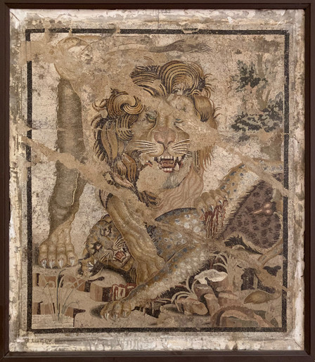 An image of a lion killing a leopard in a savanah, the lion has one claw stuck to the side of the leopard from which blood is flowing, and another leg over its neck in a position of dominance. 

The leopard is pinned beneath the lion and looks up at it, still alive. Its legs are spread and its penis is visible.

The lion faces at the viewer and looks menacing with its mouth open.

The image is partially damaged and some long scratches with missing tiles are visible. It was created in the opus vermiculatum style, and is very detailed.