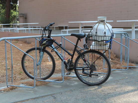 A variation on the wheelbender design of rack. A single step-through mountain bike is  parked there. It has a basket on the rear and several bungie cords are holding a small propane tank in the basket, where it's propped on two thick paperback texts. A helmet hangs off the handlebar.