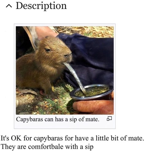 a capybara sipping mate