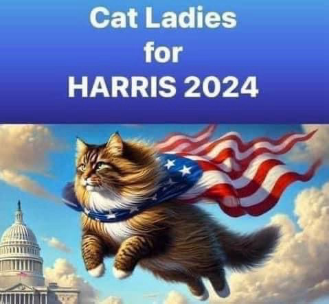(A flying cat with an American flag as a cape)  Cat Ladies for HARRIS 2024