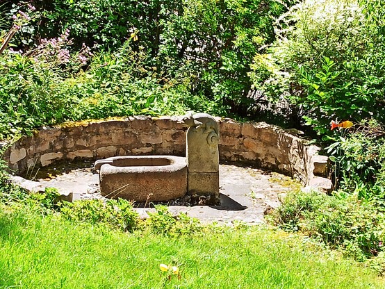 Brunnen mit Chamäleon im Garten