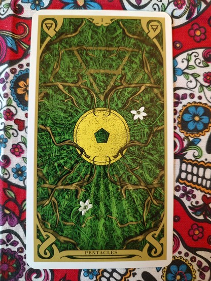 Card from the Night Sun Tarot deck.
Ace of Pentacles. 
A large coin (pentacle) on a ground of green grass. You see brown roots around it, and a couple of small white flowers. 