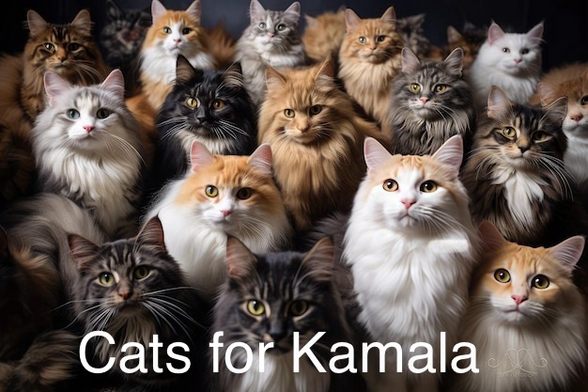 Cats for Kamala