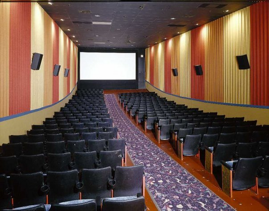 a very small movie theater where a single carpeted path goes straight down the middle