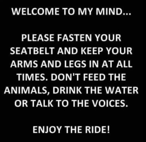 WELCOME TO MY MIND...
PLEASE FASTEN YOUR SEATBELT AND KEEP YOUR ARMS AND LEGS IN AT ALL TIMES. DON'T FEED THE ANIMALS, DRINK THE WATER OR TALK TO THE VOICES.
ENJOY THE RIDE!