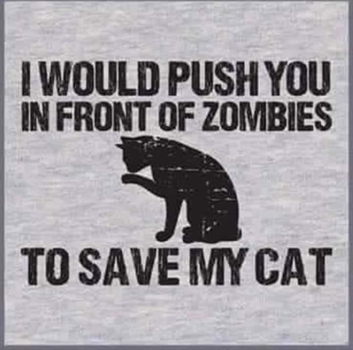 I Would Push You In Front Of Zombies To Save My Cat I Would Push You In Front Of Zombies To Save My Cat