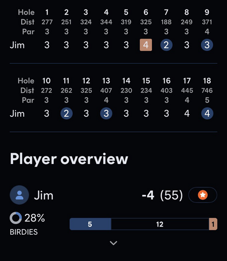 A disc golf scorecard for Oyster Bay, showing birdies on 7, 9, 11, 13, and 18, and a bogey on 6