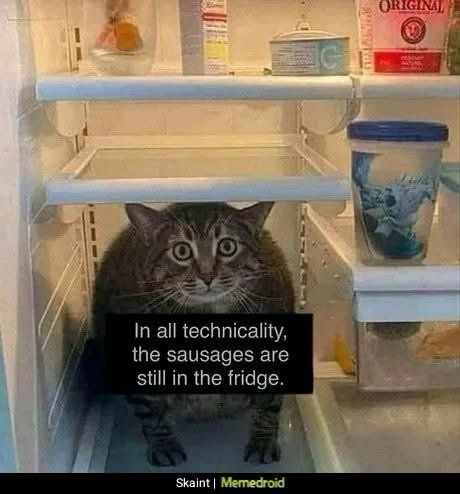 (A rather plump grey cat sitting in a refrigerator)  In all technicality, the sausages are still in the fridge.