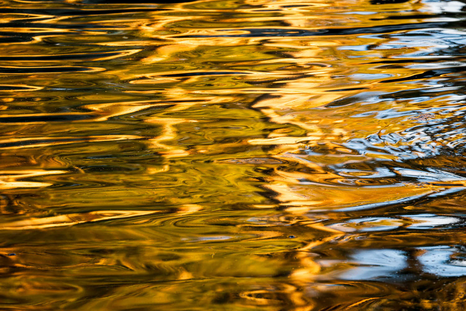 A horizontal close-up image of water, focusing on the abstract patterns created by light reflections on its surface. The water has subtle ripples and waves that cause the light reflecting off the water to break up and form swirling, elongated shapes. The dominant colors in the image are warm and golden. The golden tones create a rich, almost metallic sheen across the water's surface. Within the golden hues, there are also streaks and patches of darker shades that add contrast and depth to the image.