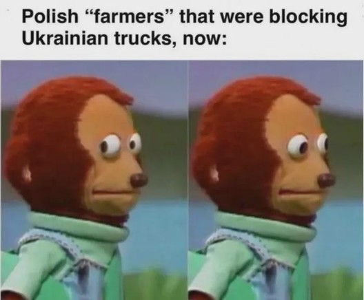 Meme mit einem humanoid gezeichneten Tier (Bär? Igel?), welches vorsichtig erst zur Seite, dann nach vorne guckt, so wie wenn es nicht sicher ist, was abgeht.
Caption: "Polish 'farmers' that were blocking Ukrainian trucks, now:"